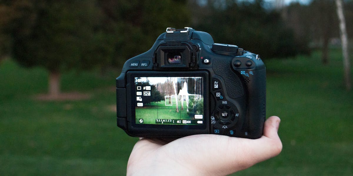 fundo verde zoom chroma key