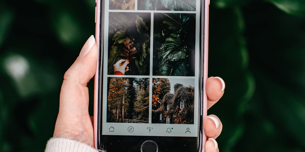 app fundo verde android